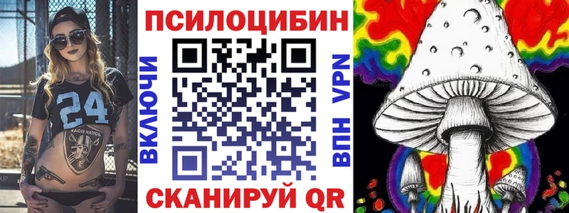 Галлюциногенные грибы Psilocybine cubensis  купить наркотики цена  Черемхово 